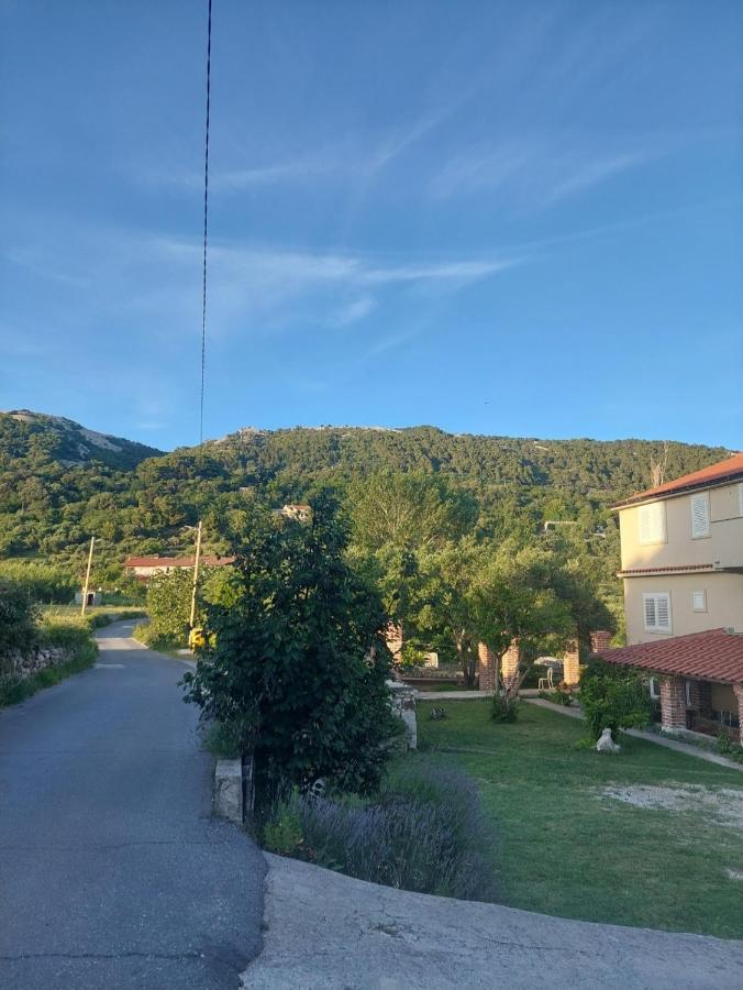 Novouredeni Apartman Marko Mundanije Esterno foto