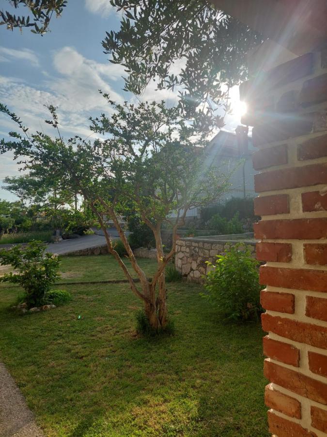 Novouredeni Apartman Marko Mundanije Esterno foto