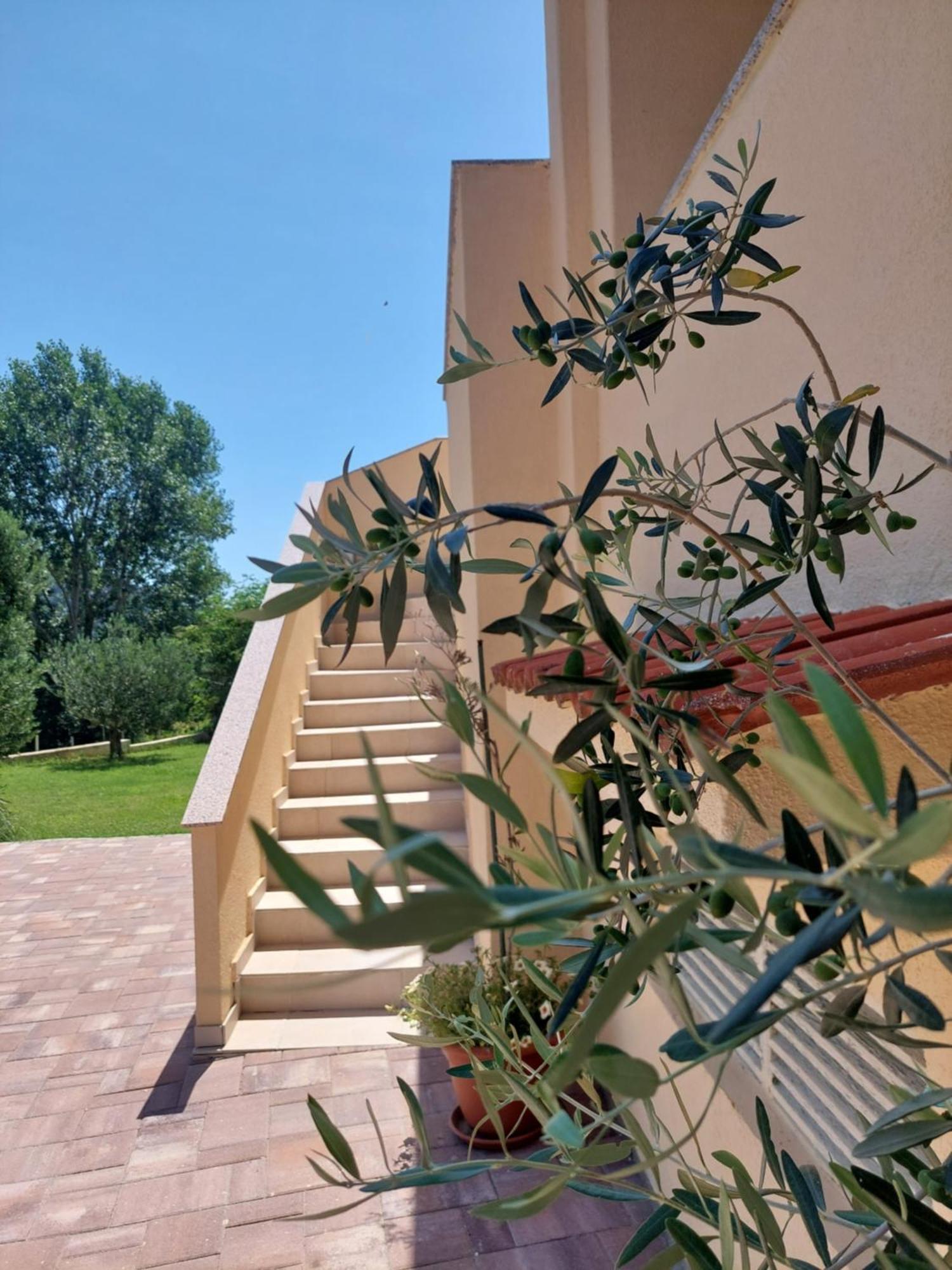 Novouredeni Apartman Marko Mundanije Esterno foto